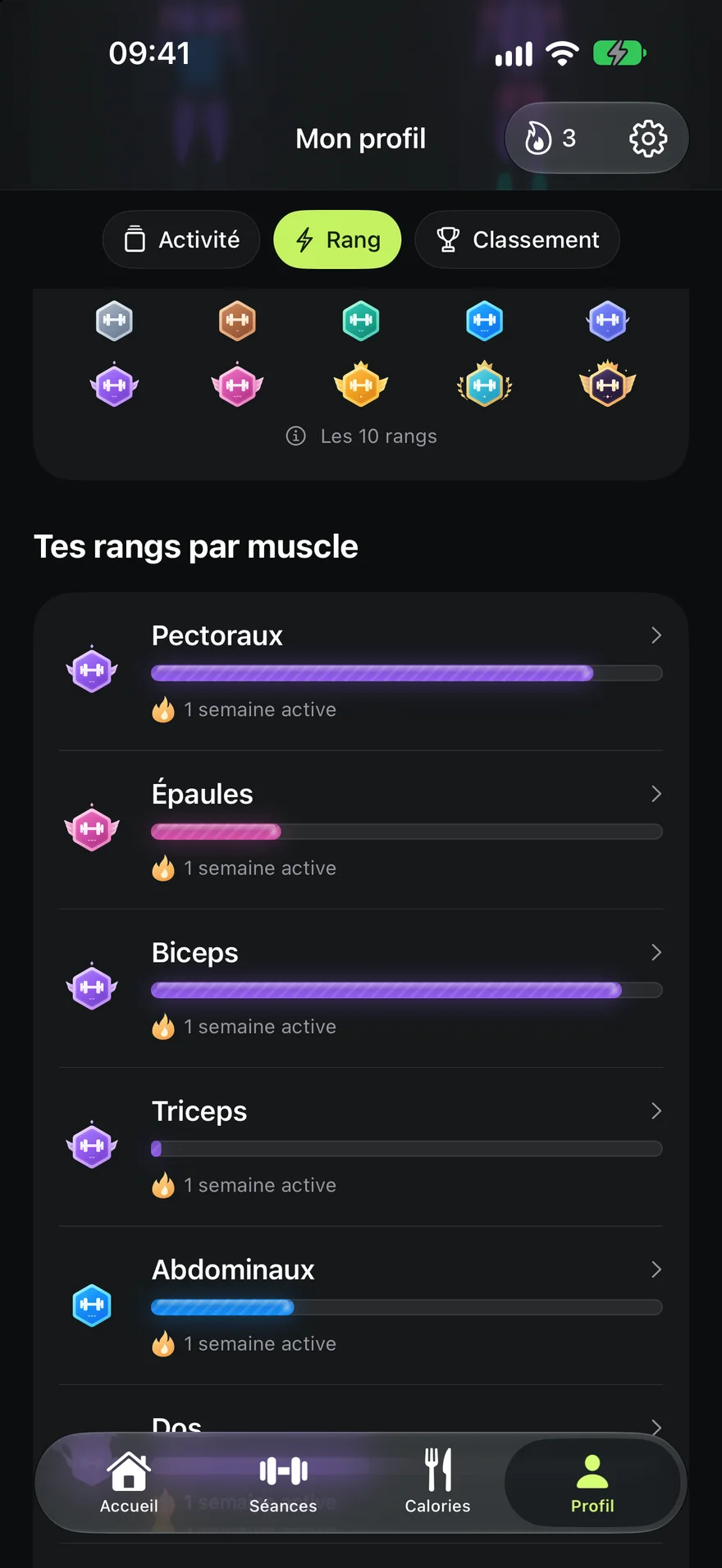 Rangs par muscle dans Aven : pectoraux, épaules, biceps, triceps et abdominaux avec leur badge et leur barre de progression